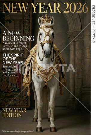 豪華な装飾の白馬 134399262