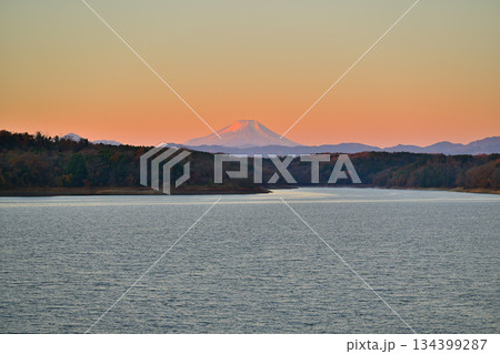 富士山　初冬　冠雪　朝焼け　狭山湖畔からの眺め 134399287