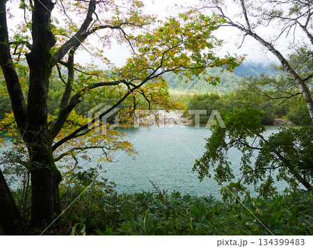 秋の観光名所上高地の森と大正池の風景 秋の観光名所上高地の森と大正池の風景 134399483