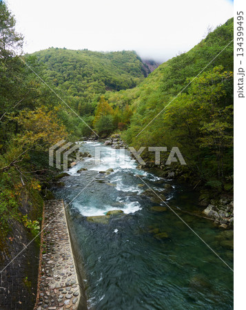 秋の観光名所上高地の森と梓川の風景 秋の観光名所上高地の森と梓川の風景 134399495
