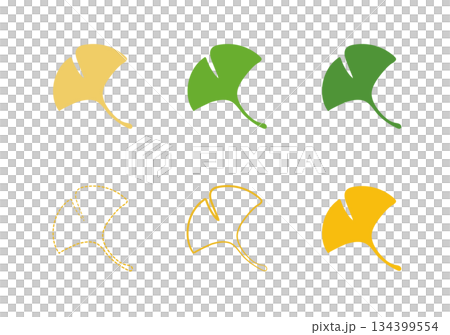 簡單的銀杏圖示集插圖 簡單的銀杏圖示集插圖 134399554