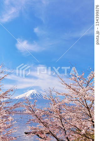 日本の春 富士山と桜 日本の春 富士山と桜 134399876