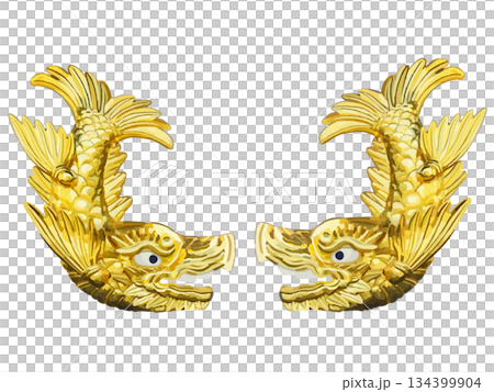 金雉(左為雌性,右為雄性) 金雉(左為雌性,右為雄性) 134399904