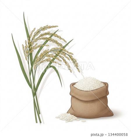 稲とお米のシンプルなイラスト4 134400058