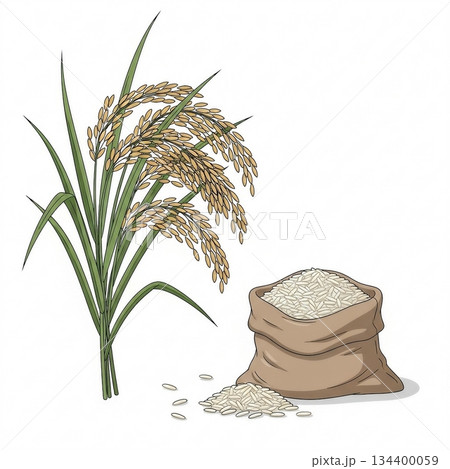 稲とお米のシンプルなイラスト5 134400059