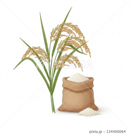 稲とお米のシンプルなイラスト10 134400064