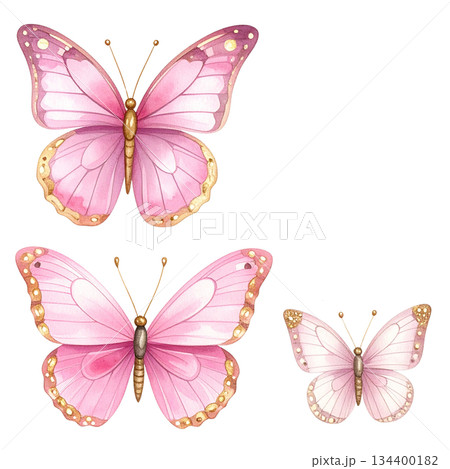 Watercolor butterfly on white background 134400182