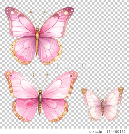 Watercolor butterfly on white background 134400182