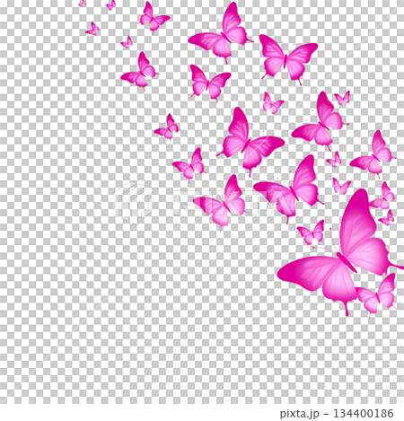 Watercolor butterfly on white background 134400186