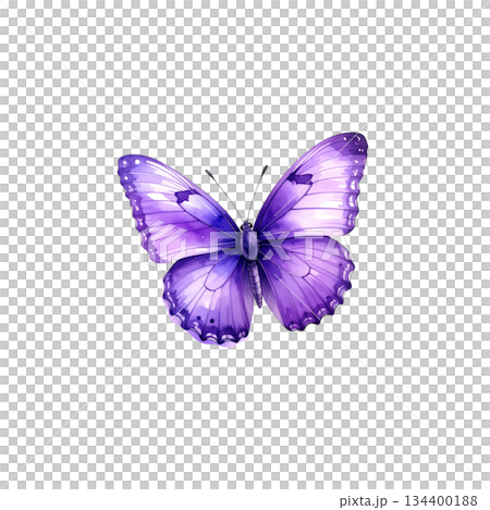 Watercolor butterfly on white background Watercolor butterfly on white background 134400188