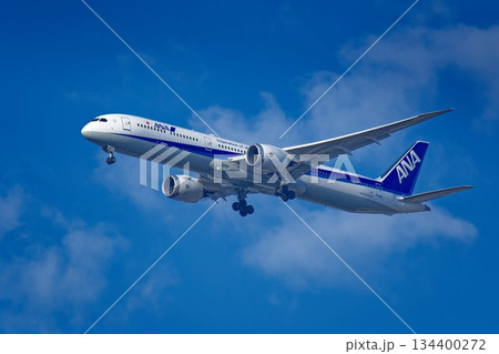 青空をバックに飛ぶ全日空(ANA)のボーイング787-10型旅客機 134400272