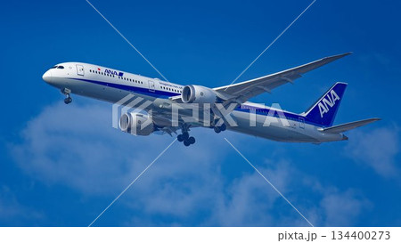 青空をバックに飛ぶ全日空(ANA)のボーイング787-10型旅客機 青空をバックに飛ぶ全日空(ANA)のボーイング787-10型旅客機 134400273