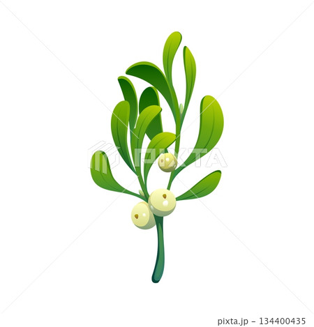 Merry Christmas mistletoe twig cartoon decoration. Happy New Year party floral element, merry Christmas holiday isolated vector mistletoe twig and berries. Xmas festive plant decoration 134400435