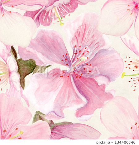 Sakura flowers seamless pattern watercolor, pink tones, hand-painted in botanical style isolated on cloud white background. Perfect for wedding invitations, spring cards, packaging, textile design. 134400540