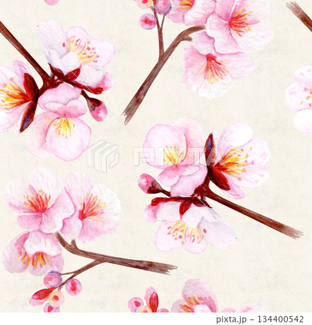 Cherry blossom branch with delicate pink petals seamless pattern. Hand-painted watercolor clip art on cloud white, perfect for spring decor, wedding invitations, Asian design, or floral projects 134400542