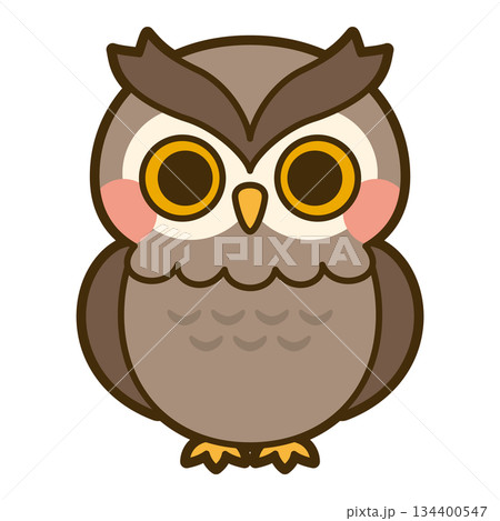 かわいいフクロウのイラスト かわいいフクロウのイラスト 134400547
