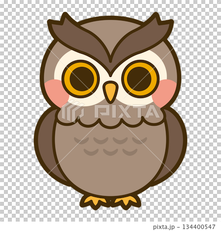 かわいいフクロウのイラスト かわいいフクロウのイラスト 134400547