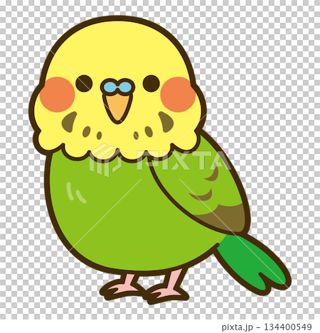 かわいいセキセイインコ（イエロー・グリーン）のイラスト 134400549