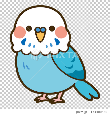 一隻可愛的虎皮鸚鵡插圖（白色和藍色） 134400550