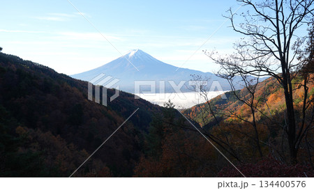 富士見橋展望台から望む早朝の富士山 134400576