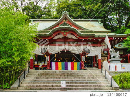 熱海市　來宮神社　（きのみやじんじゃ）　本殿 134400657