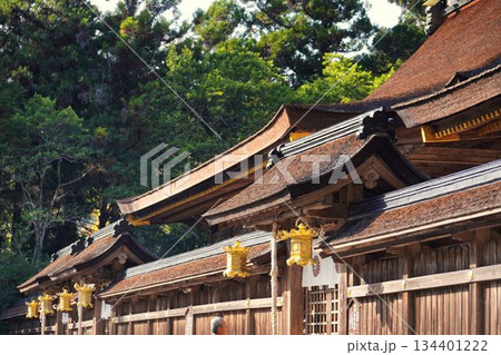 古来よりの神社 古来よりの神社 134401222
