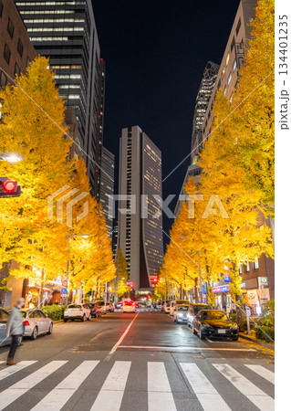 《東京都》新宿都市風景・イチョウ並木ライトアップ 《東京都》新宿都市風景・イチョウ並木ライトアップ 134401235