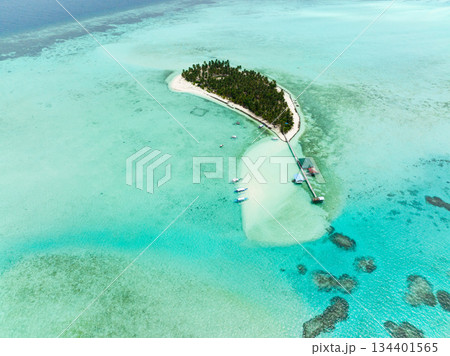 Aerial drone of tropical island with palm trees and sandy beach. Onok Island, Balabac, Philippines. 134401565