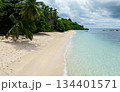 A serene tropical beach with gentle waves, lined with palm trees and clear blue waters. Anse Forbans. Seychelles, Mahe. 134401571
