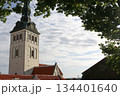 聖ニコラス教会 世界遺産 エストニア タリン歴史地区 聖ニコラス教会 世界遺産 エストニア タリン歴史地区 134401640