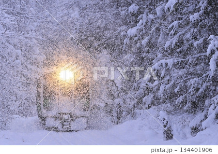 猛吹雪の只見線 猛吹雪の只見線 134401906