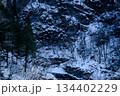 雪の積もった森 134402229