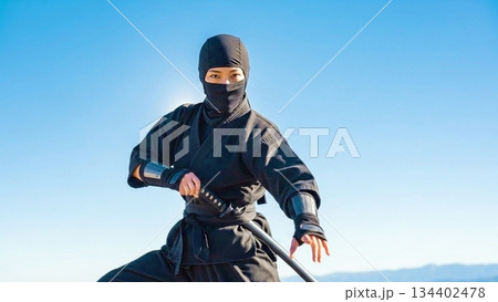 忍者☆Ninja 134402478