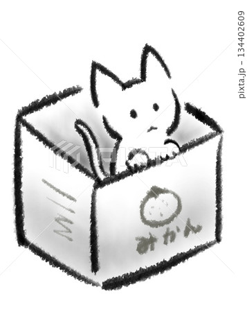 箱に入った不憫な白い子猫のイラスト 134402609
