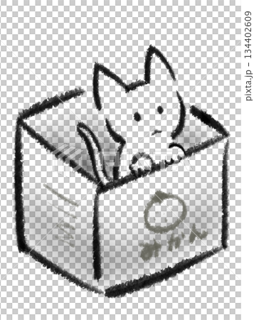 箱に入った不憫な白い子猫のイラスト 134402609