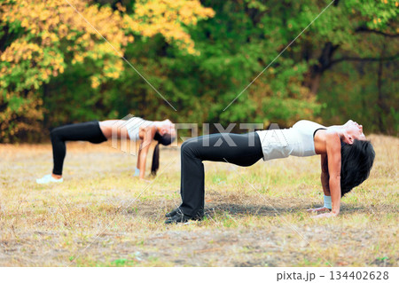Women, exercise stretching and workout in a outdoor park for yoga and fitness. Health, wellness and balance of female friends in nature on grass feeling happy and relax from body care and sport 134402628