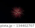 黒い背景に咲く花火 134402707