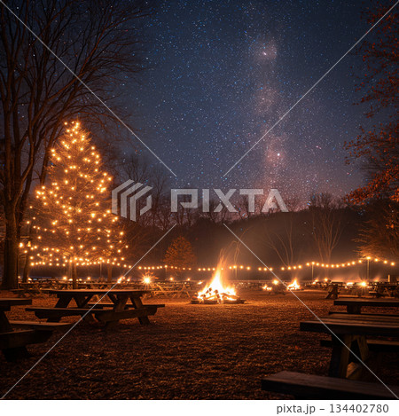 Starlit gathering by the bonfire under a shimmering sky in a festive park setting. Generative AI 134402780