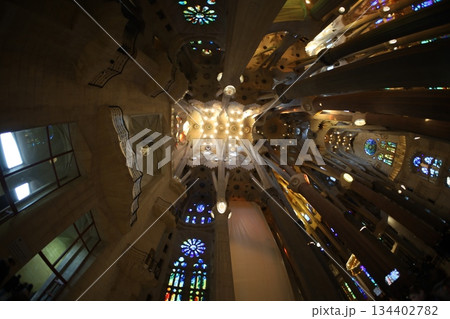 サグラダファミリア 134402782