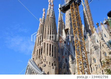 サグラダファミリア 134402798