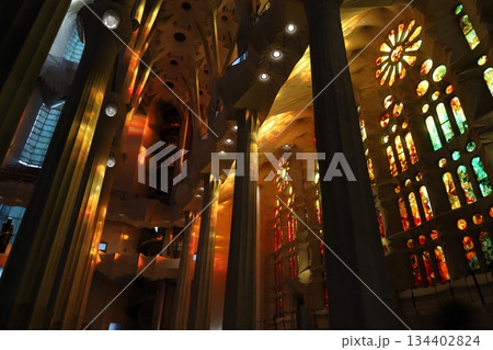 サグラダファミリア 134402824