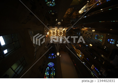 サグラダファミリア 134402831