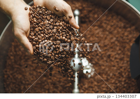 Hands Pouring Coffee Beans Into Roaster During Roasting Process Hands Pouring Coffee Beans Into Roaster During Roasting Process 134403307