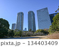12月　浜離宮恩賜庭園から見たビル群 134403409