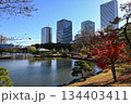 12月　浜離宮恩賜庭園から見たビル群 134403411