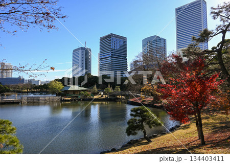12月　浜離宮恩賜庭園から見たビル群 134403411