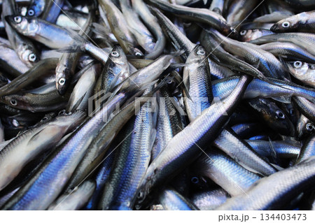 Small fish sprat close-up. Benefits of eating fish. 134403473