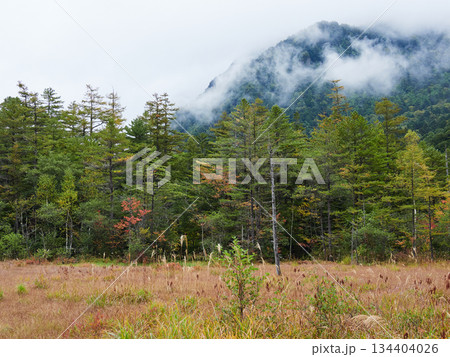 秋の観光名所上高地の田代湿原の森と穂高連峰の霧の風景 秋の観光名所上高地の田代湿原の森と穂高連峰の霧の風景 134404026