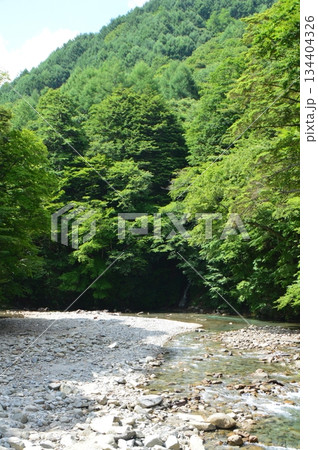 笛吹川の川原（西沢渓谷入口駐車場 付近／山梨県山梨市三富川浦） 134404326