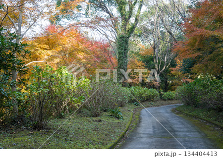 秋の紅葉が美しい熊本の風景 秋の紅葉が美しい熊本の風景 134404413